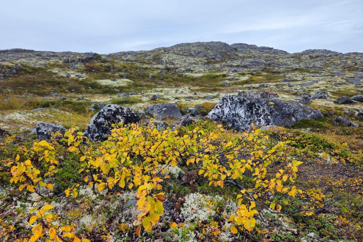 Полуострова Рыбачий и Средний (3 дня/ 2 ночи)