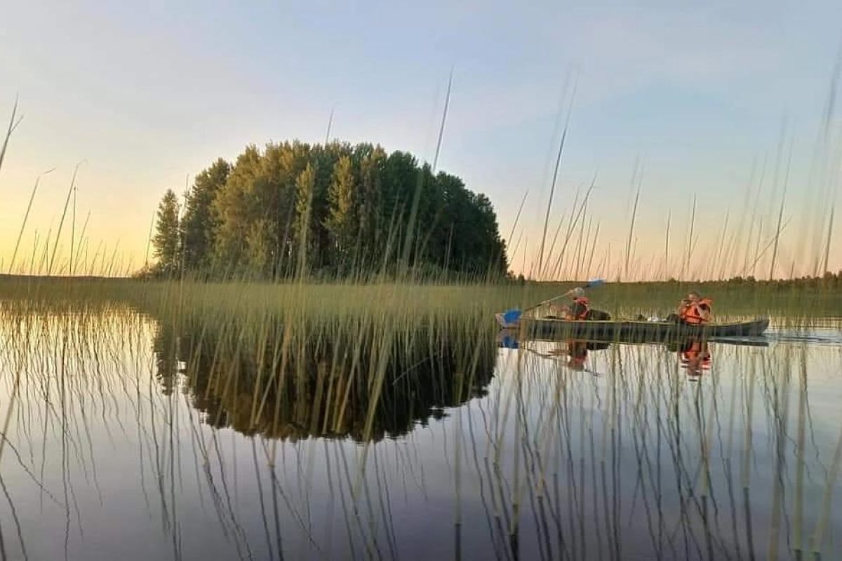 Сплав по реке Онега (на байдарках)