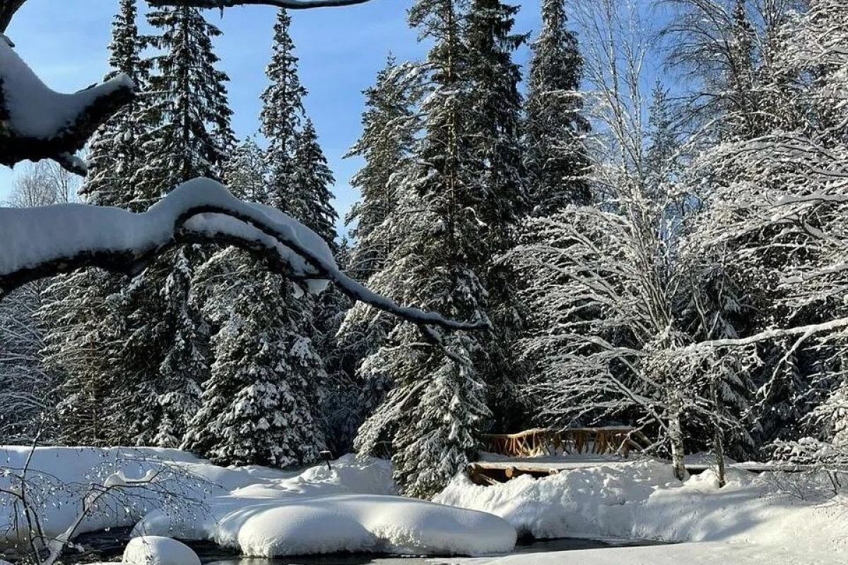 Новогодние каникулы в Карелии + Кижи (через Заонежье, 5 дней)