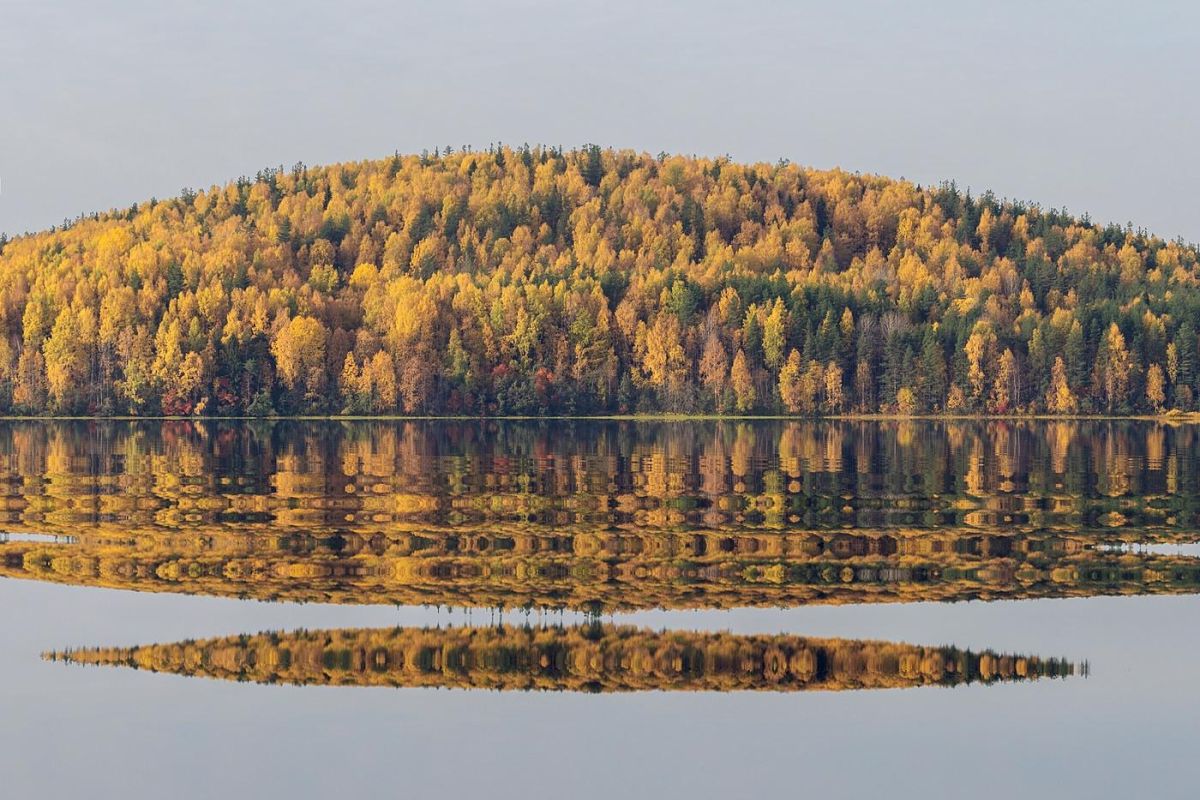 Тур для школьников «Творческие выходные в Кенозерье»