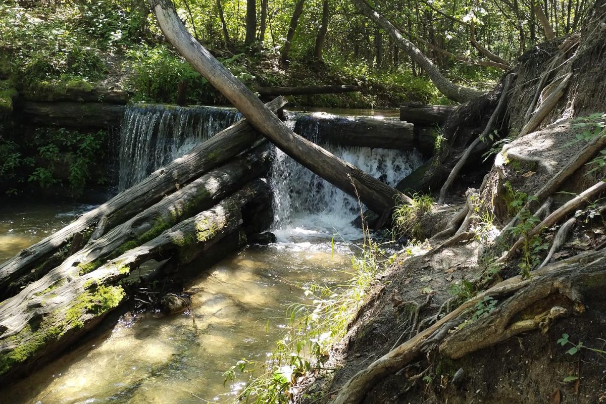 Поход выходного дня с. Новинка (Приамурье)