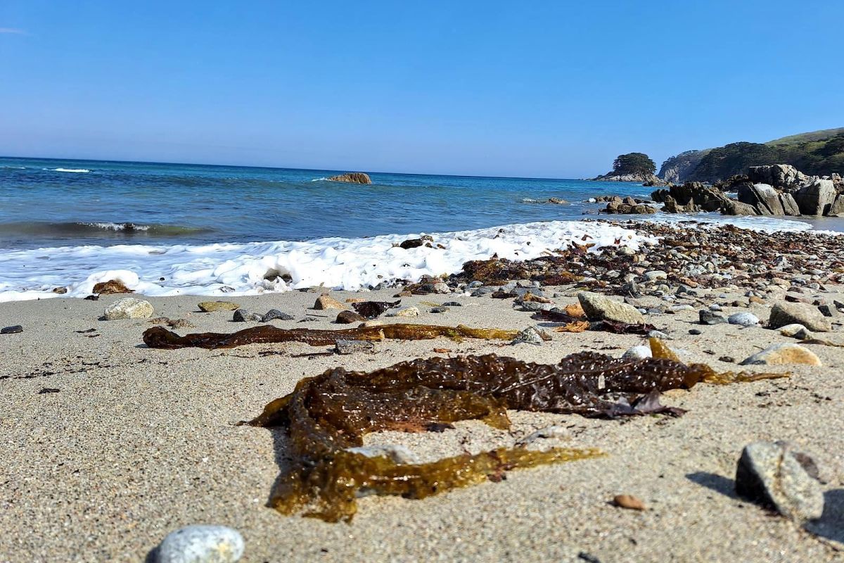 Тур-приключение по Приморью «Четыре истории»