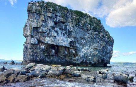 Земля леопарда + Японское море