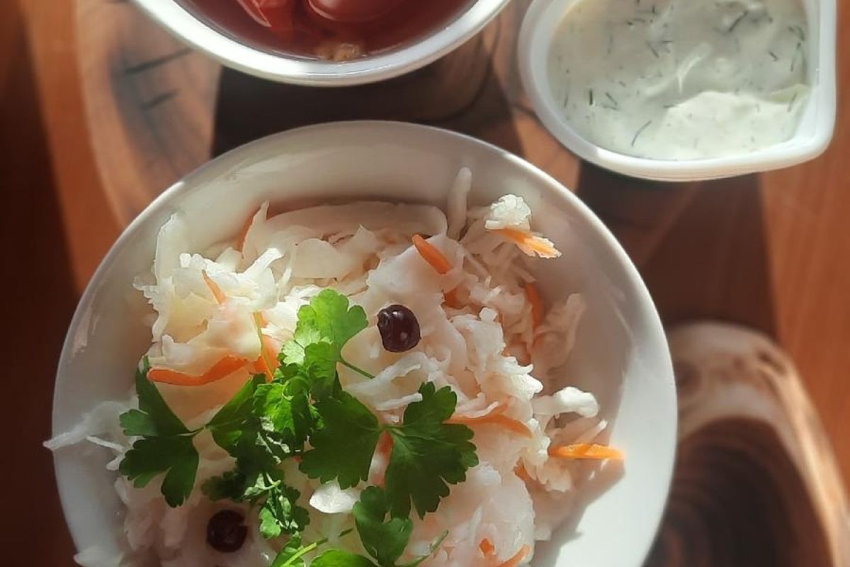 Научный круиз по онежскому поморью – путешествие с учёным