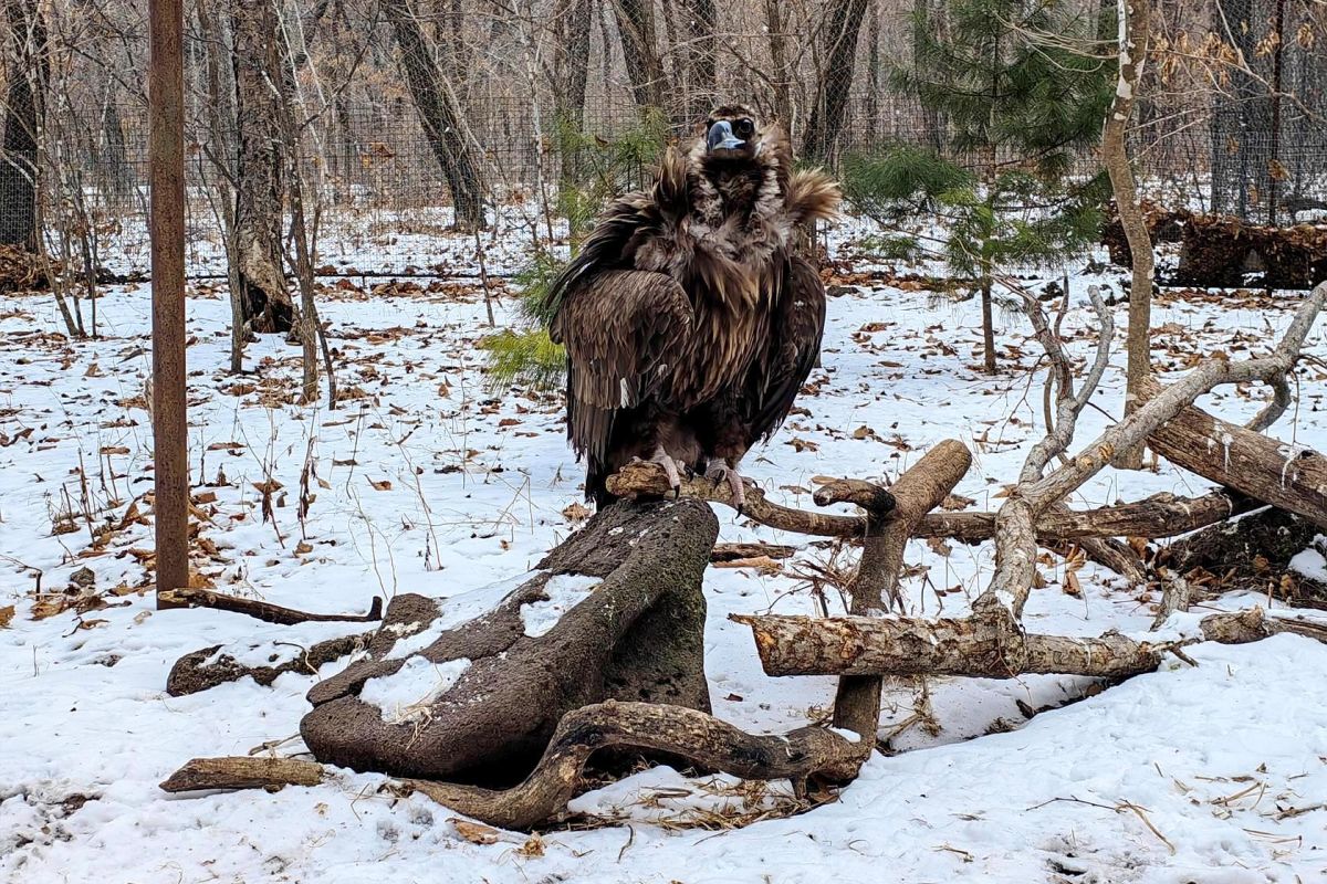 Экскурсия в Сафари-парк