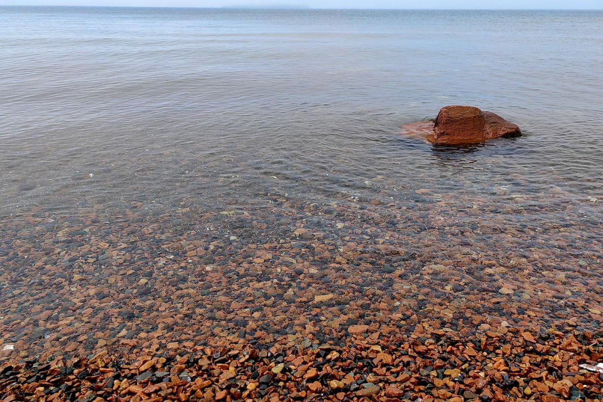 Открой Владивосток