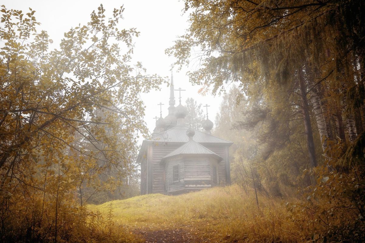 Банный тур в Кенозерье "Северная баня"