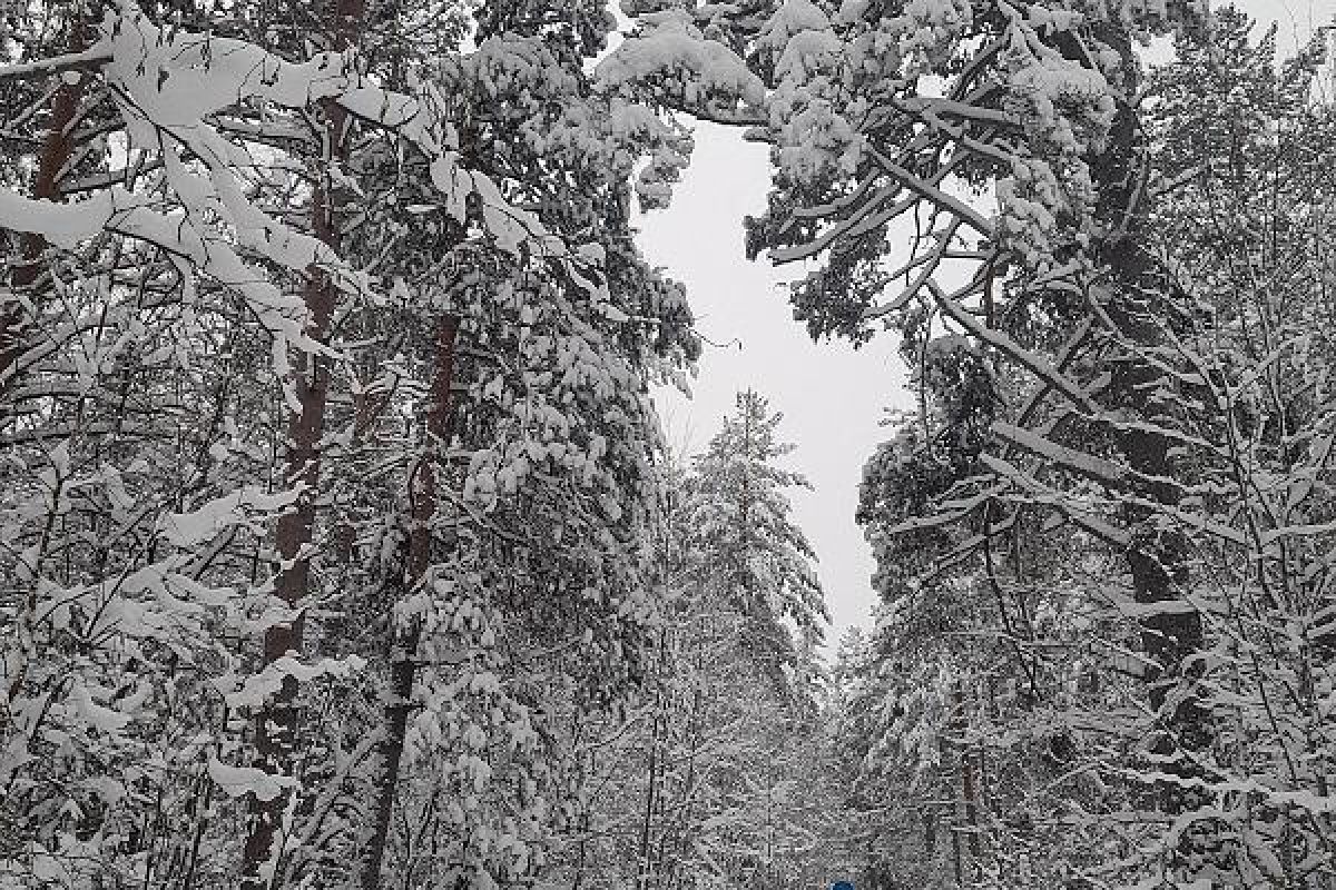 Лыжный тур по Карелии – Тало (Сойважпорог, 3 дня)