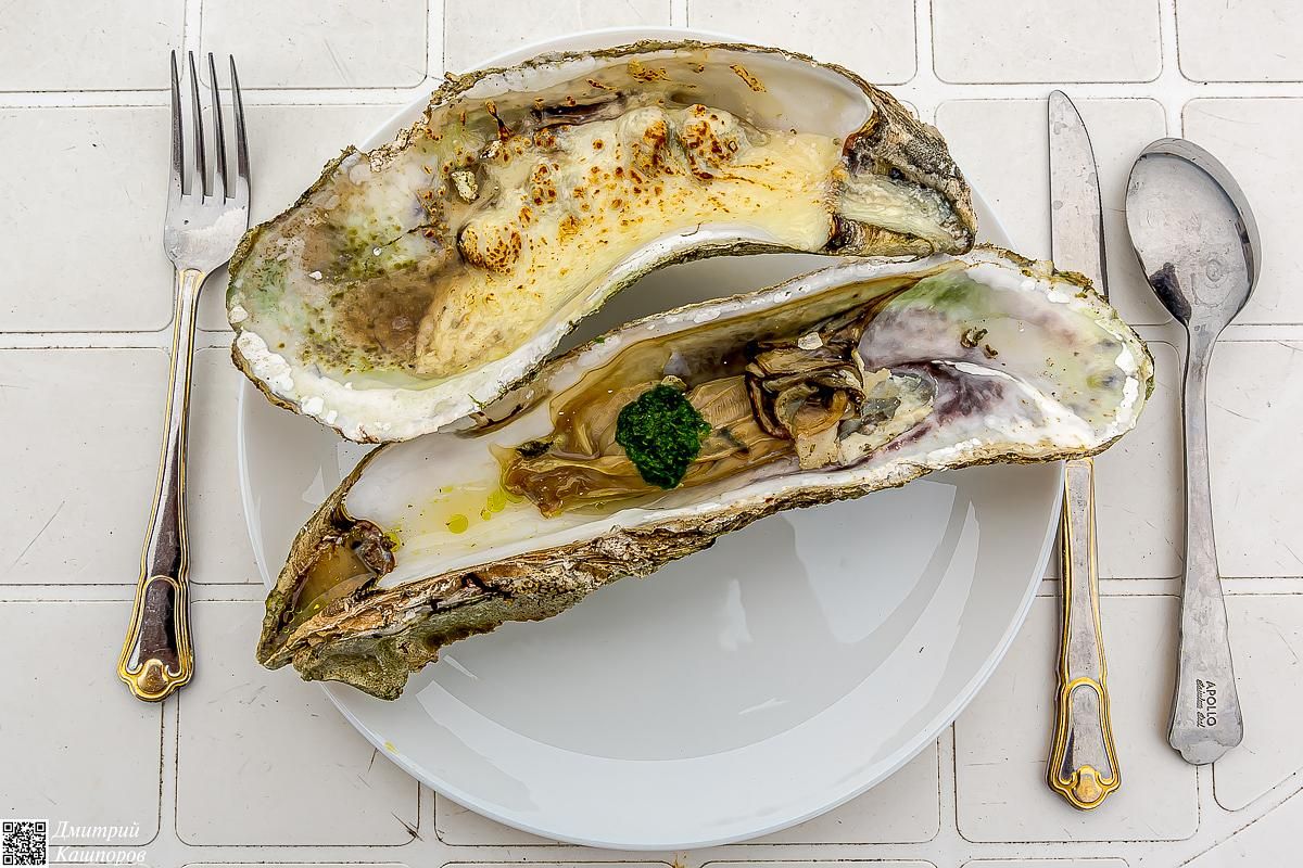 Сахалин, Итуруп, Шикотан и Кунашир с вулканом Тятя. Путешествие на другую планету