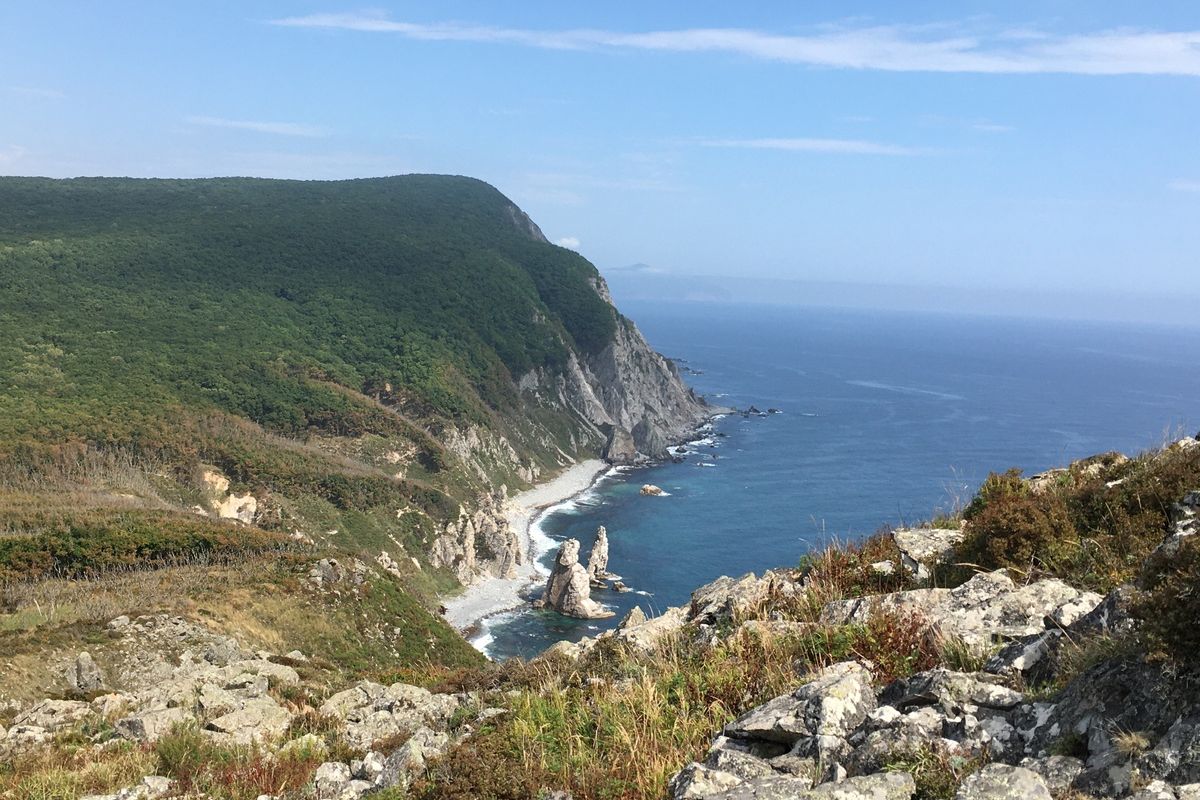 Сихотэ-Алинский заповедник: по следам амурского тигра!