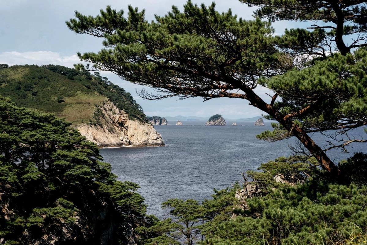 Заповедное Приморье: с юга на север