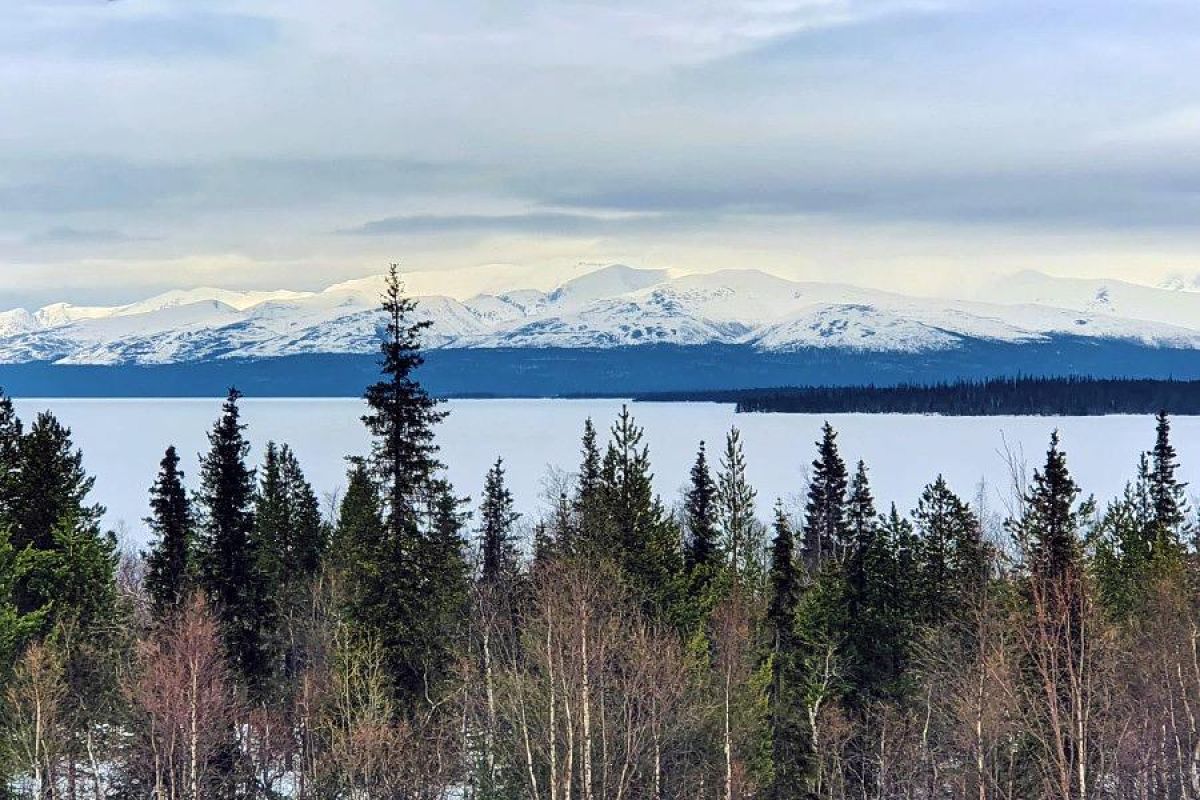 Новогодний тур 2026 в Мурманск!