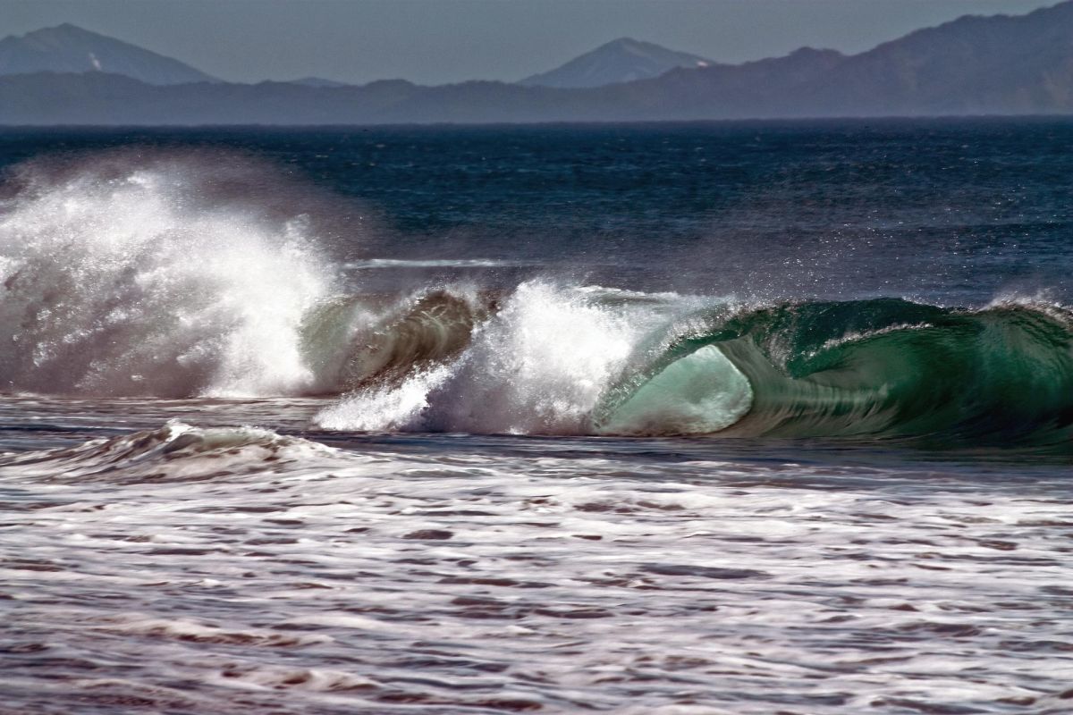 Халактырский пляж + Гастрономическая экскурсия «Мифы о Юколе» в корякской родовой общине «Эйвет».