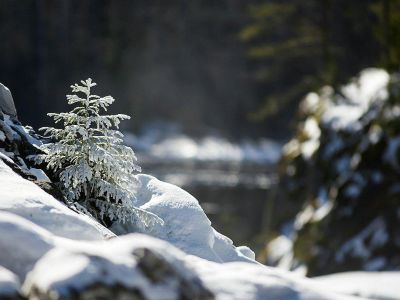 Зимний тур в Карелию
