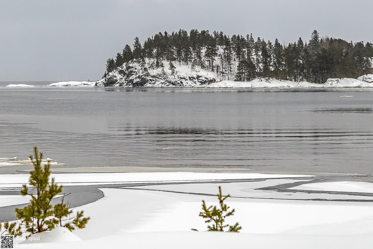 Времена года. Зимняя Карелия с фотографом