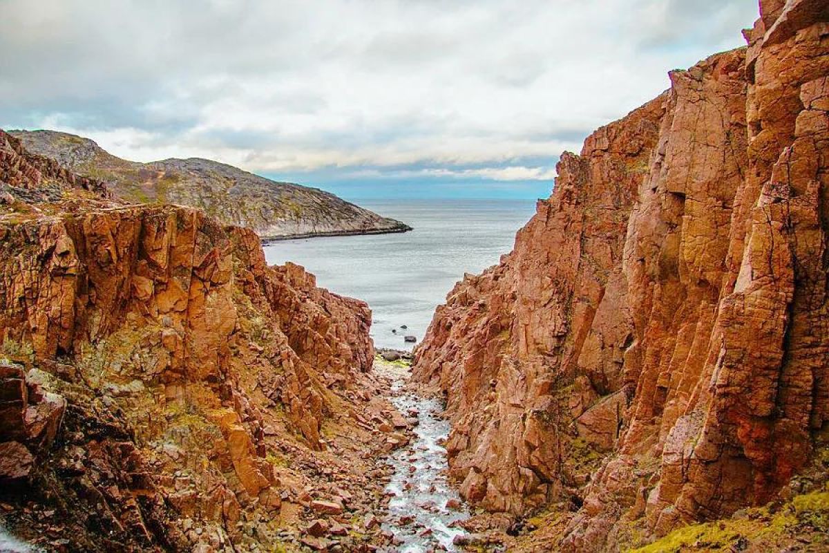 Арктические Каникулы 2026