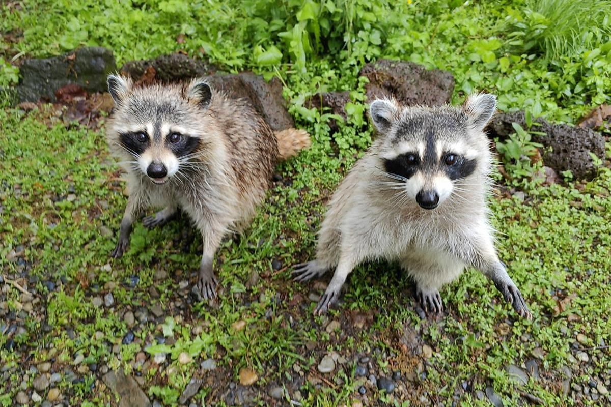 Приморье и Сахалин в одном туре