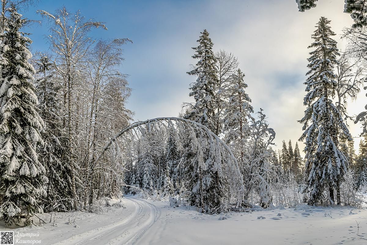 Времена года. Зимняя Карелия с фотографом