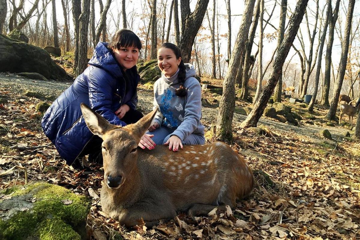 Экскурсия в Приморский Сафари-парк