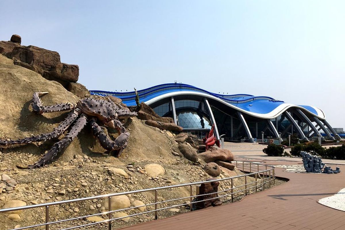 Открой Владивосток