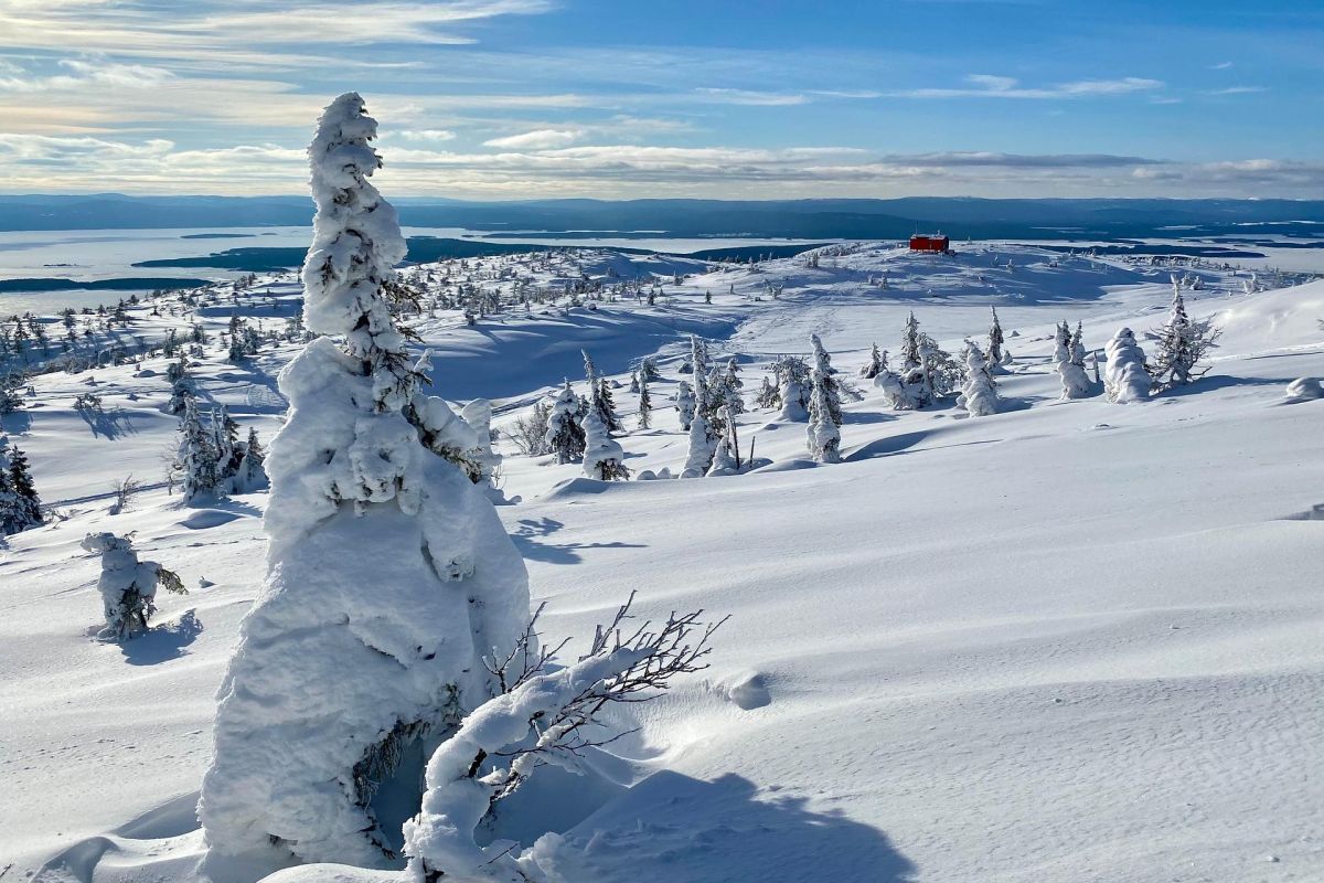 Снежный май на Кольском