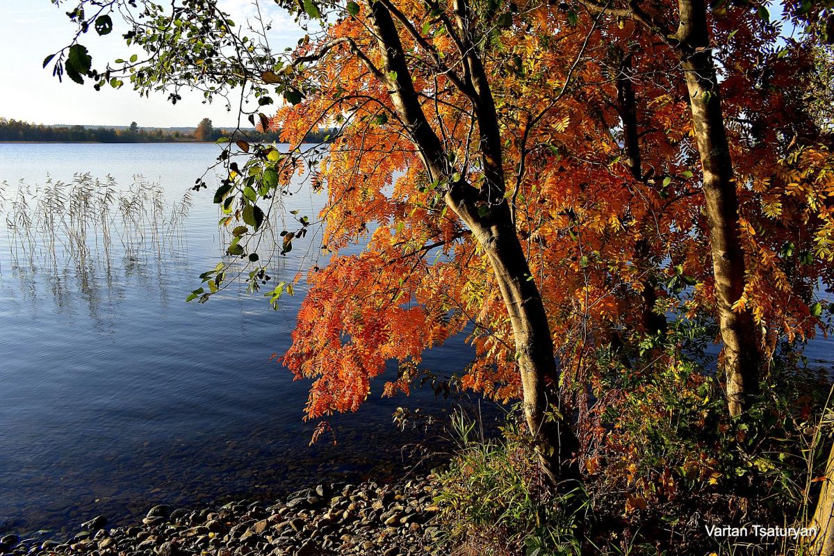 Карельские денёчки в Сортавала