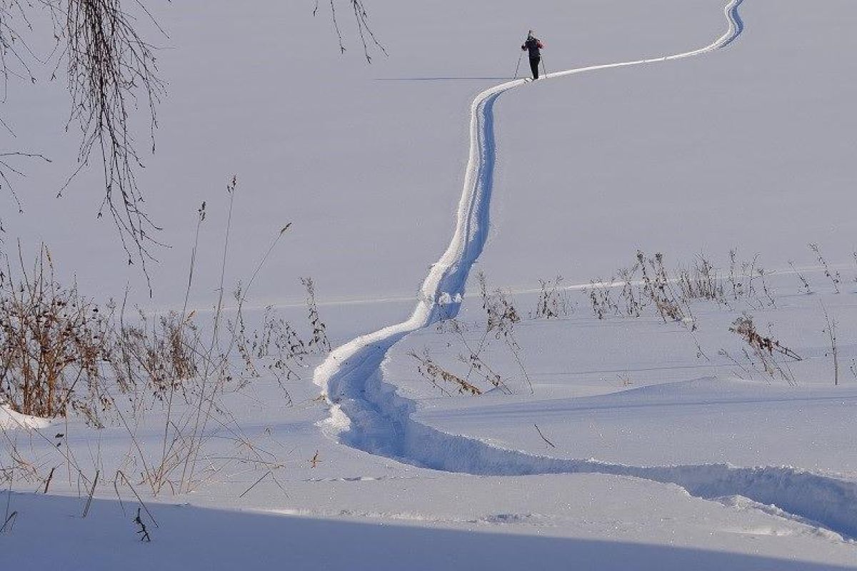 Лыжный тур по Карелии (Спасская Губа, 4 дня)