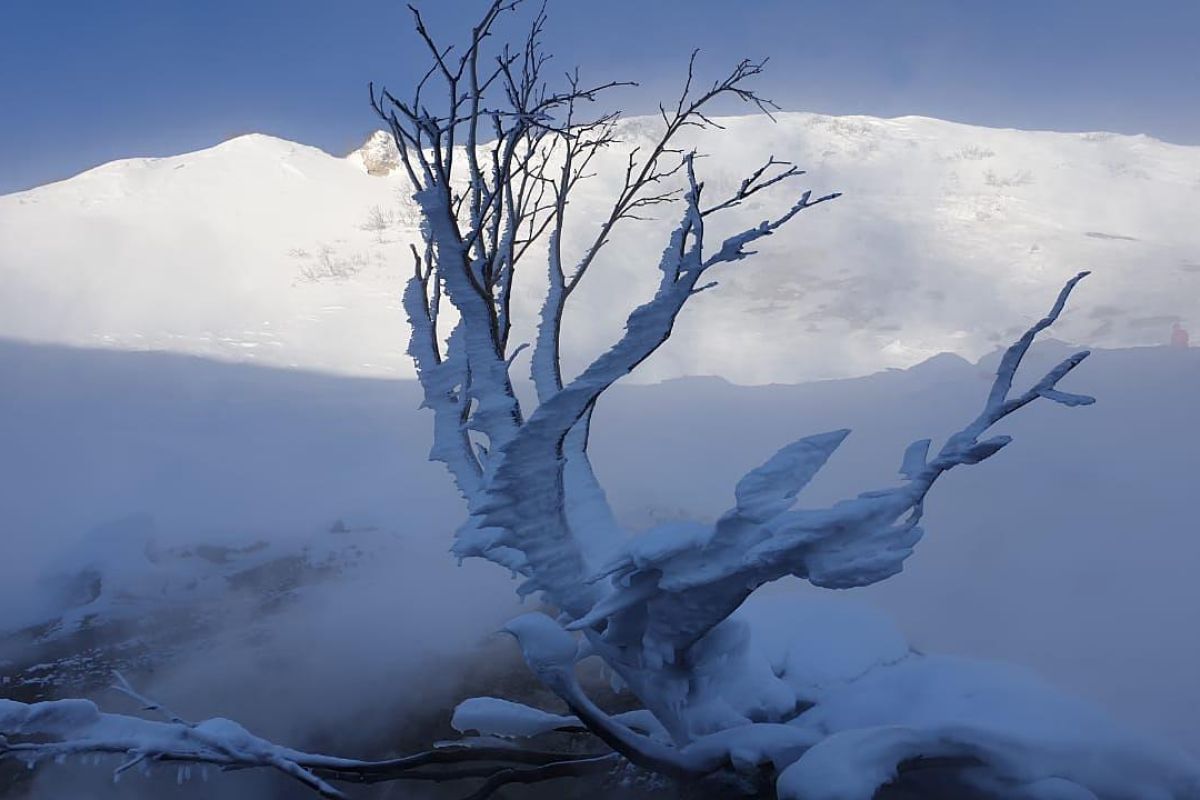 Зимняя сказка Камчатки