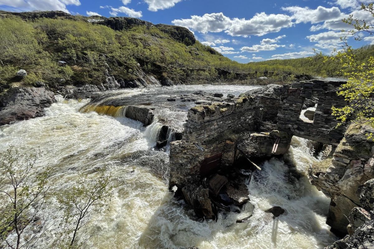 Край стихий: Киты. Океан. Горы. Водопады