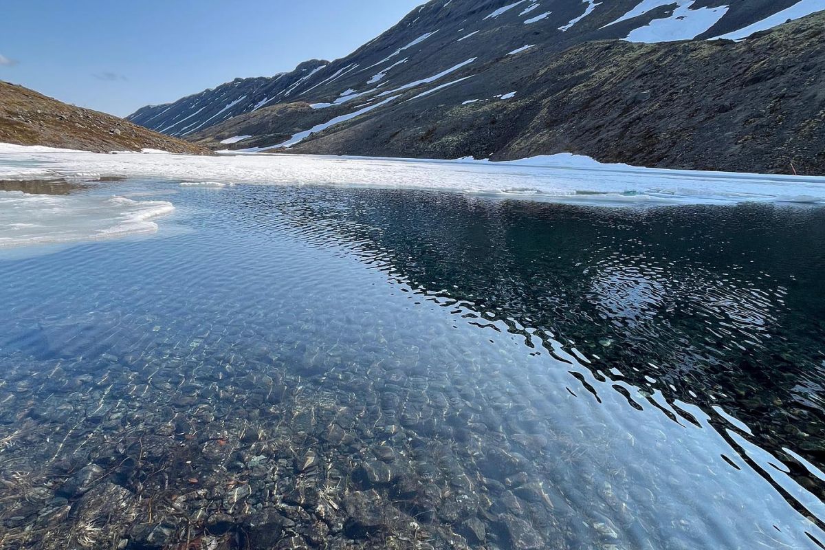 Красоты севера – летний Кольский