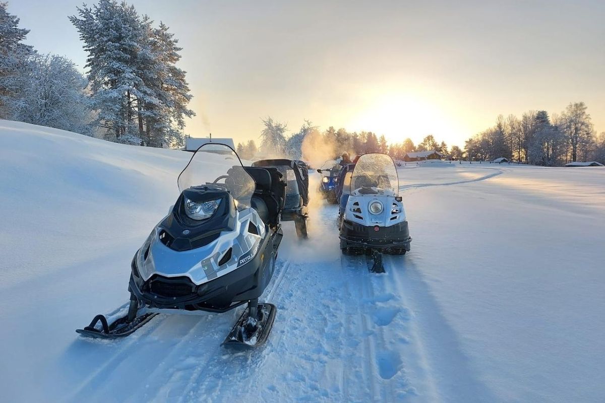 Тур «Новогодие на Лекшмозере»