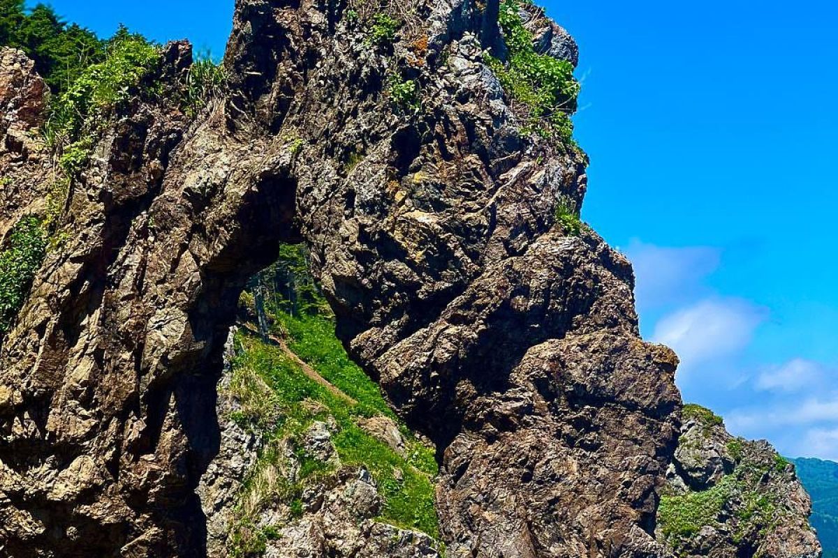 Мыс Великан. Мыс Птичий (Сахалин)