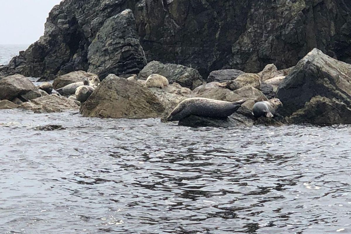 ЧУДЕСА ПРИМОРСКОГО КРАЯ