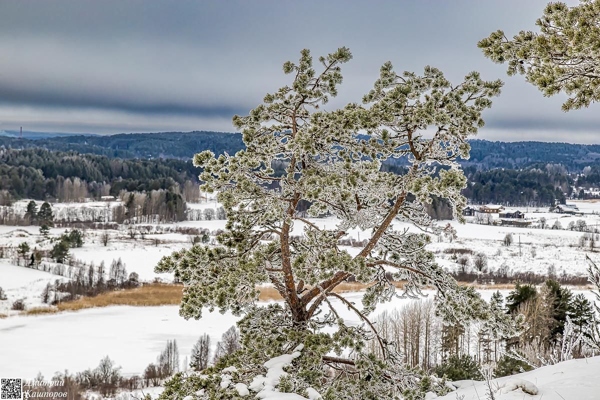 Времена года. Зимняя Карелия с фотографом