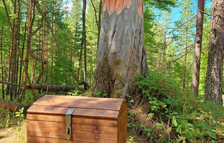 Квест-экскурсия "Дремучий лес"