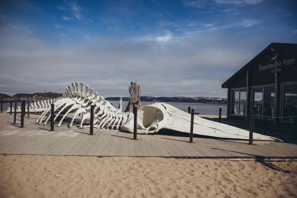 Красоты севера – летний Кольский