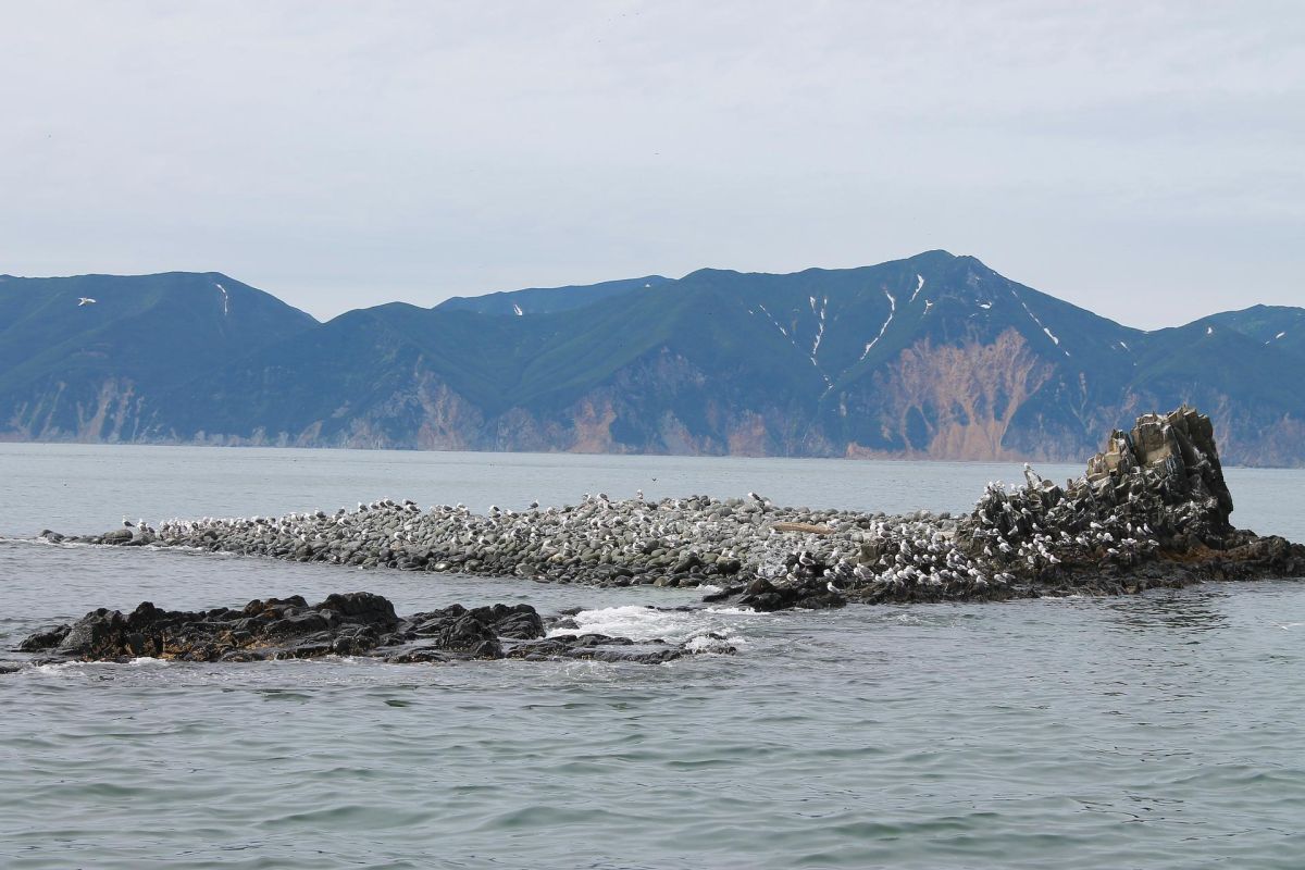 Открой для себя Камчатку