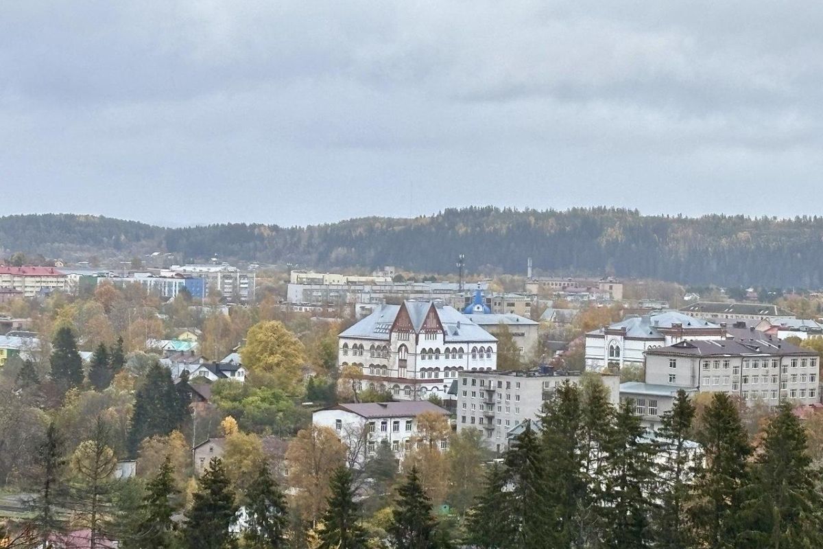 Обзорная экскурсия по г. Сортавала (Карелия)