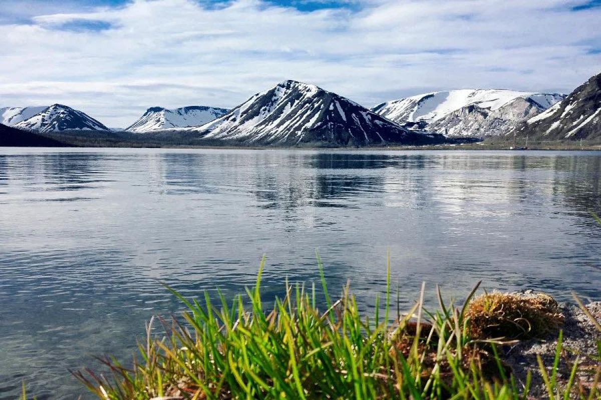 Арктические Каникулы 2026