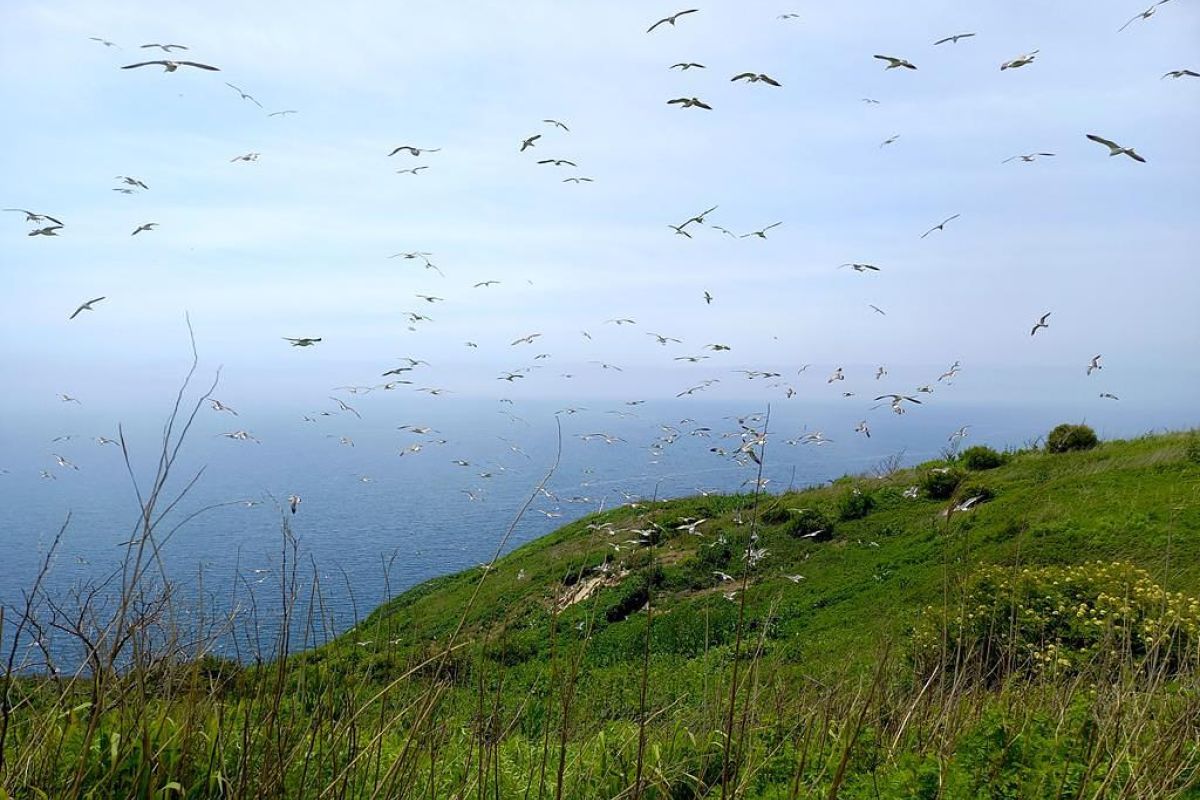 Заповедное Приморье: с юга на север
