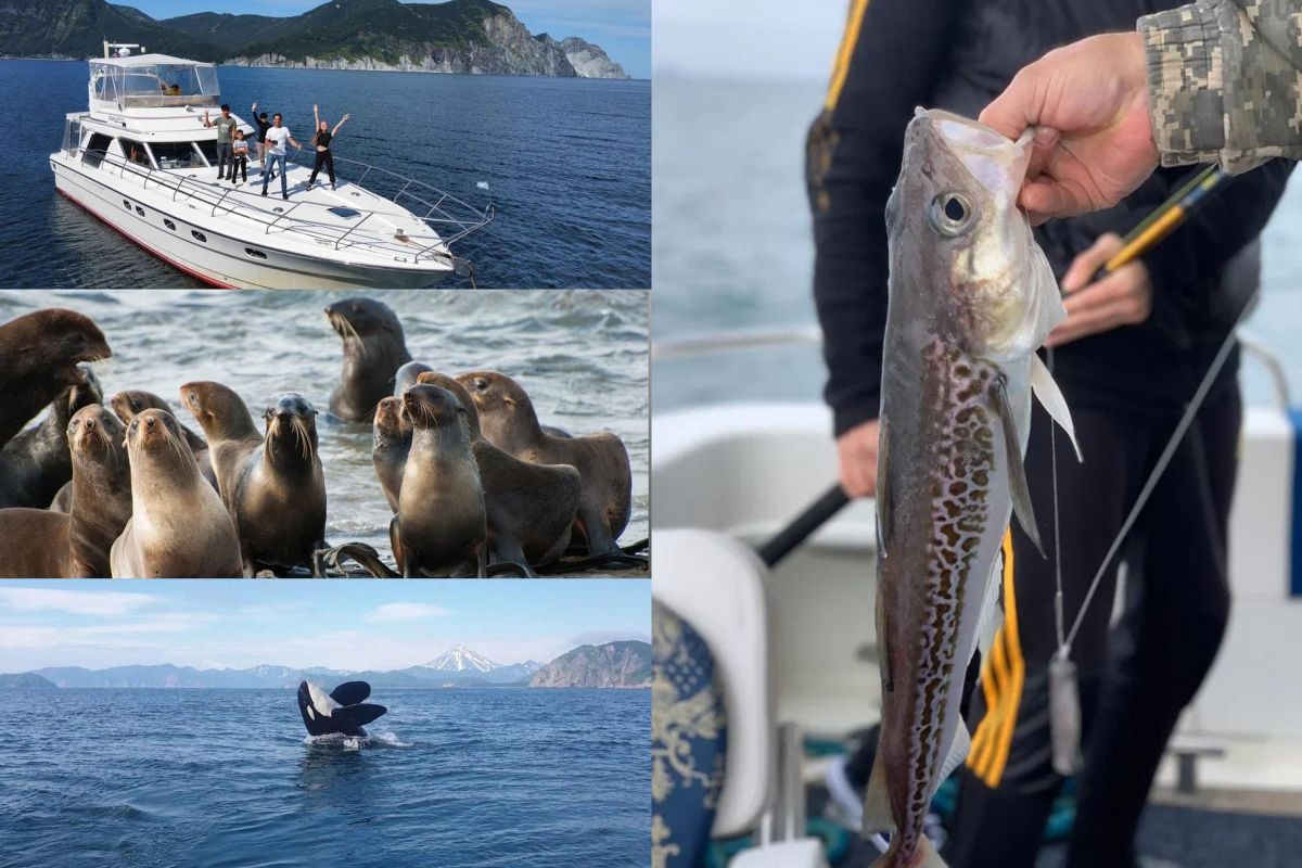 Морская прогулка по бухтам с выходом в океан