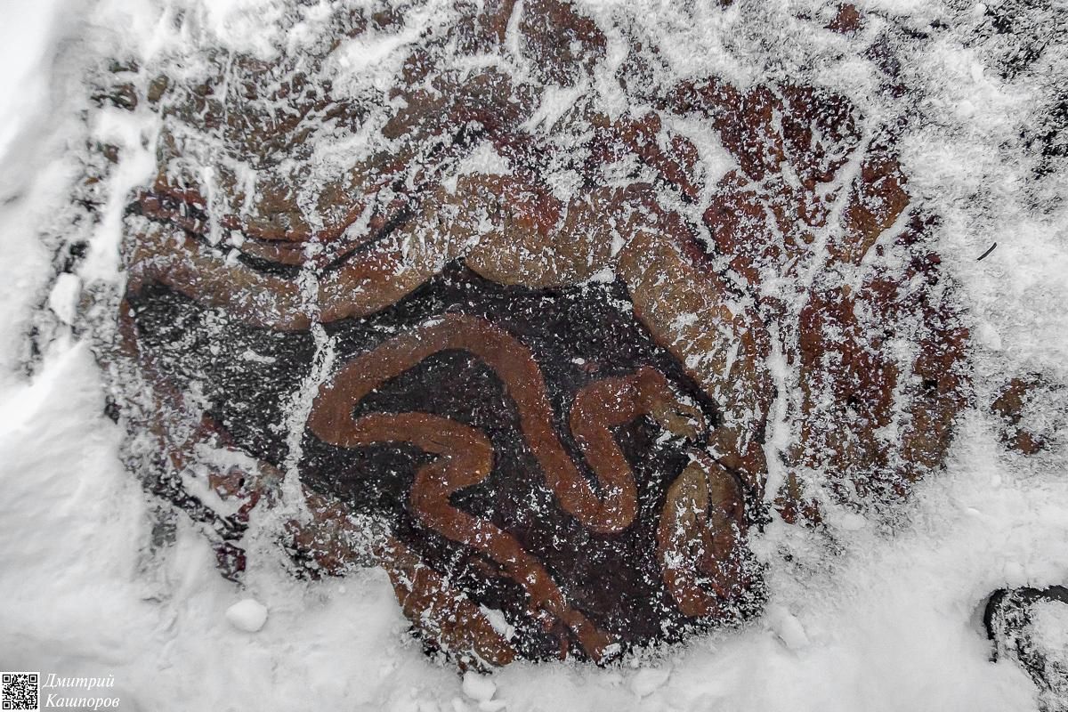 Времена года. Зимняя Карелия с фотографом