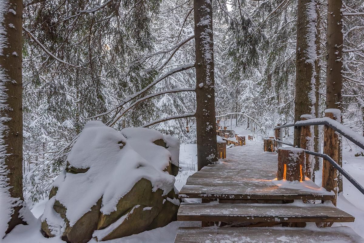 Времена года. Зимняя Карелия с фотографом