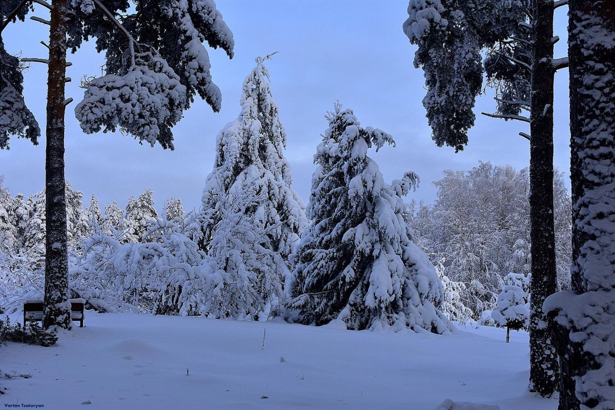 Лыжный тур по Карелии – Тало (Сойважпорог, 3 дня)