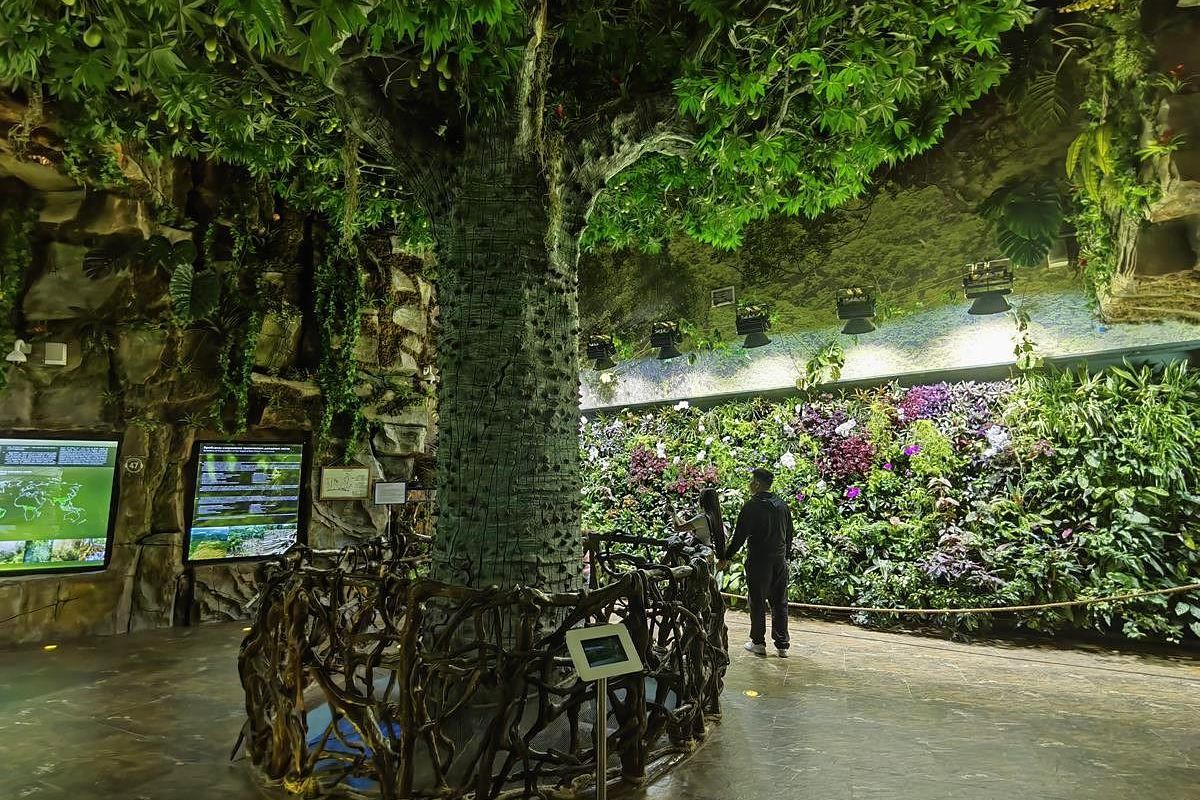 Тигры. Устрицы. Мосты. Владивосток