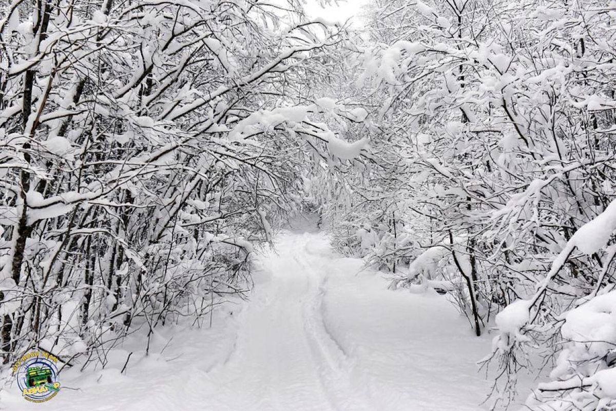 Однодневные снегоходные маршруты по Карелии