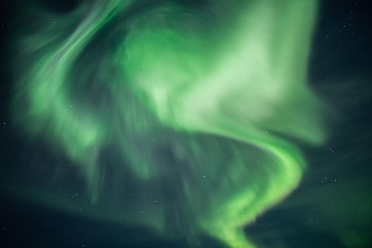 Ешь, лови, кайфуй (новогодний)