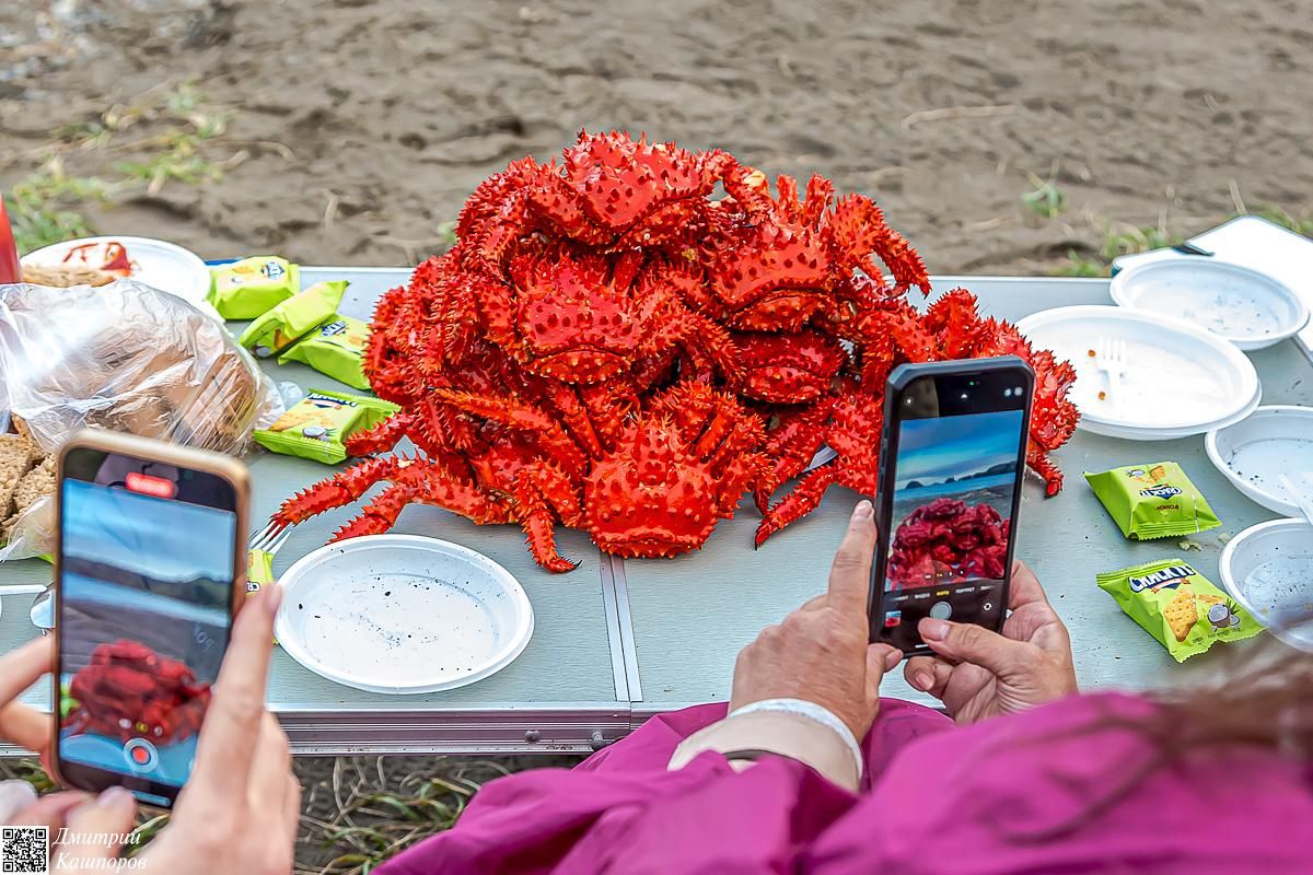 Сахалин, Итуруп, Шикотан и Кунашир с вулканом Тятя. Путешествие на другую планету