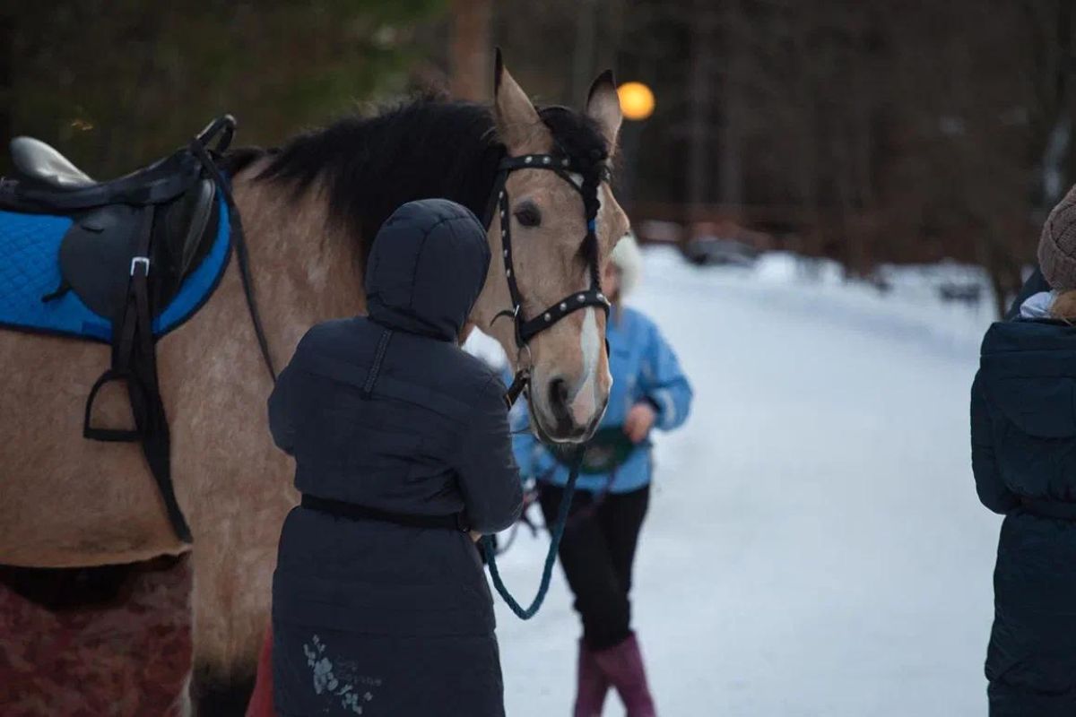 Солнечная Карелия: новогоднее путешествие