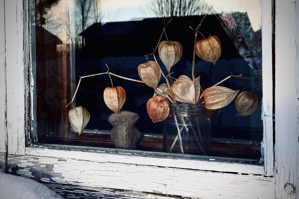 Банный тур в Кенозерье "Северная баня"